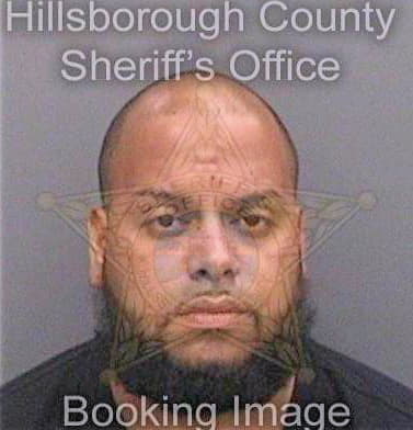 Dejesusrodriguez Luis - Hillsborough County, FL 