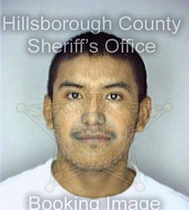 Martinez Luis - Hillsborough County, FL 