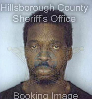 Mcintyre Jerome - Hillsborough County, FL 