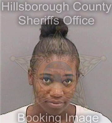 Dinkins Shayna - Hillsborough County, FL 