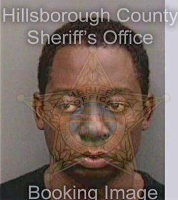 Bienaime Ronald - Hillsborough County, FL 