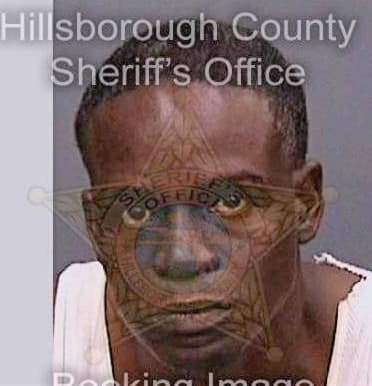 Davis James - Hillsborough County, FL 