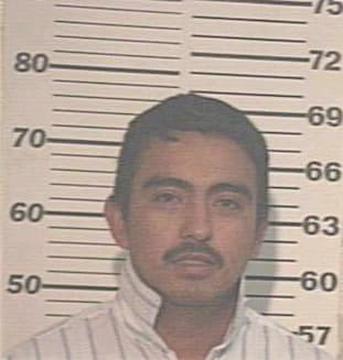 Espinoza Luis - Hidalgo County, TX 