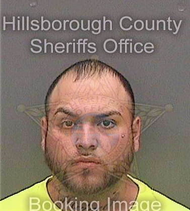 Perez David - Hillsborough County, FL 