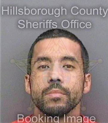 Melendez Hector - Hillsborough County, FL 