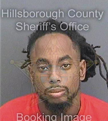 Mcclarin Ahmad - Hillsborough County, FL 