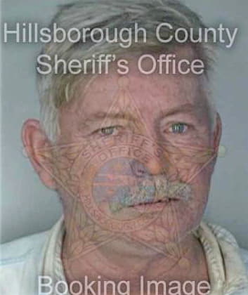 Lutz Michel - Hillsborough County, FL 