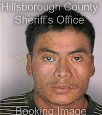 Lopez Santos - Hillsborough County, FL 