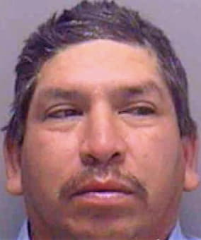 Rosalez Martin - Lee County, FL 
