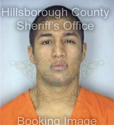 Silva Nicholas - Hillsborough County, FL 