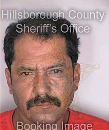 Garcia Jose - Hillsborough County, FL 