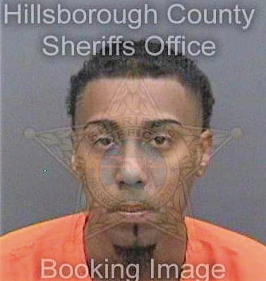 Patrick Michael - Hillsborough County, FL 