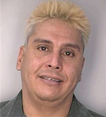 Gonzalez Jose - Hillsborough County, FL 