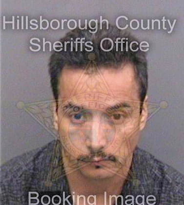 Vargasvallejo Jose - Hillsborough County, FL 