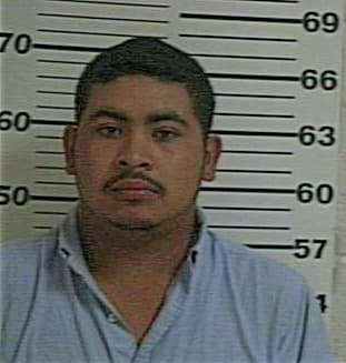 Delarosa Luis - Hidalgo County, TX 