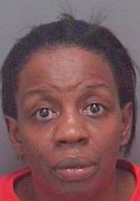 Wilmore Denise - Pinellas County, FL 