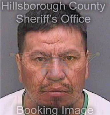 Cruz Herminio - Hillsborough County, FL 