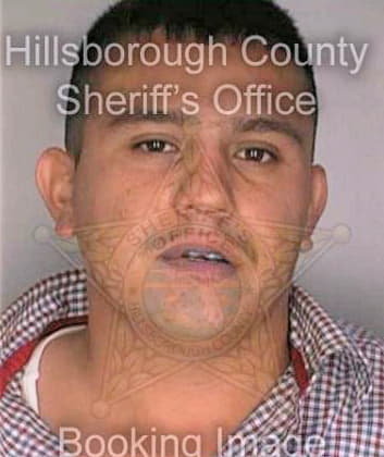 Sanchez Mario - Hillsborough County, FL 