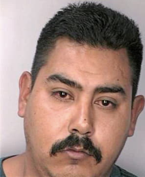 Navarrete Pedro - Hillsborough County, FL 