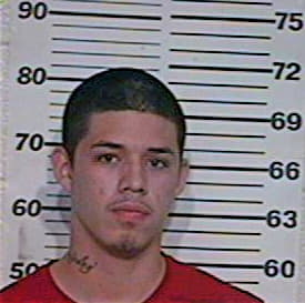 Gonzalez David - Hidalgo County, TX 