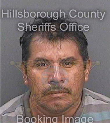 Guzmanjusto Timoteo - Hillsborough County, FL 