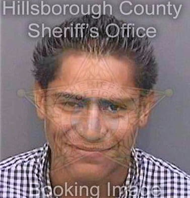 Lopezgutierrez Anibal - Hillsborough County, FL 