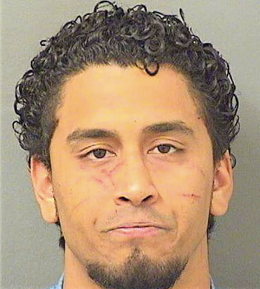 Ramos Domingo - PalmBeach County, FL 