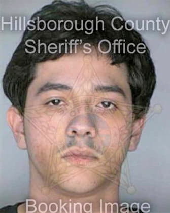 Perezfigueroa Dennis - Hillsborough County, FL 