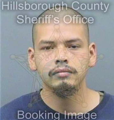 Fernandez Jose - Hillsborough County, FL 