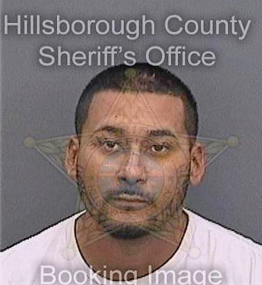 Mejia Raul - Hillsborough County, FL 