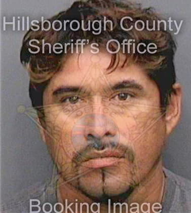 Jaurez Henry - Hillsborough County, FL 