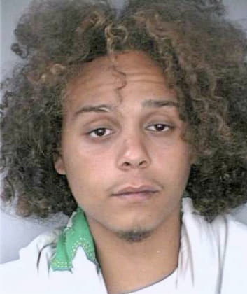 Mccoy Terrell - Hillsborough County, FL 