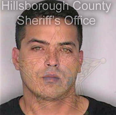 Ledo Sergio - Hillsborough County, FL 