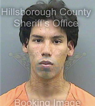 Meza Abraham - Hillsborough County, FL 