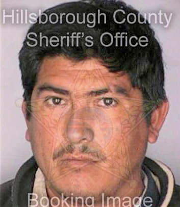 Lopez Eusebio - Hillsborough County, FL 