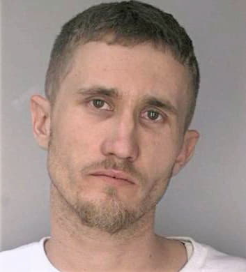 Mcmahon Michael - Hillsborough County, FL 