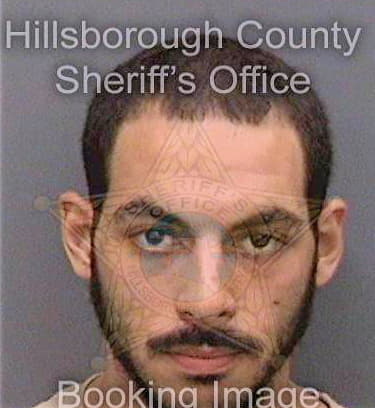 Reyesortiz Elvis - Hillsborough County, FL 