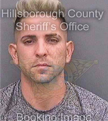 Toledogarcia Lester - Hillsborough County, FL 