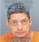 Gonzalezrivas Wanel - Pinellas County, FL 