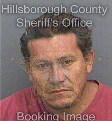 Baldovinosvaldez Leonel - Hillsborough County, FL 