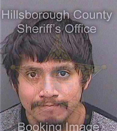 Francisco Manuel - Hillsborough County, FL 