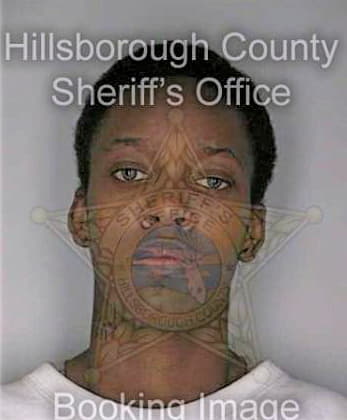 Soloman Tamika - Hillsborough County, FL 