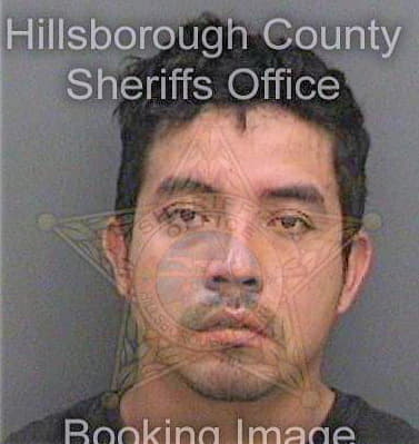 Gayossogarcia Miguel - Hillsborough County, FL 