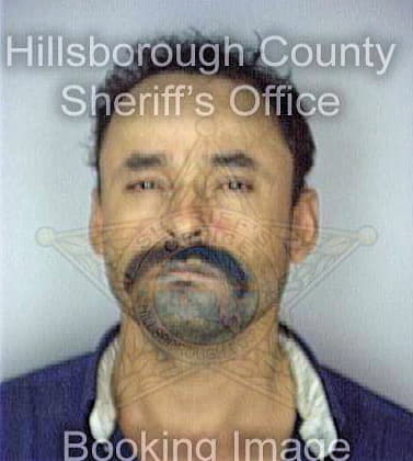 Sanchez Arturo - Hillsborough County, FL 