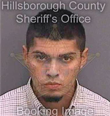 Guerravillegas Efrain - Hillsborough County, FL 