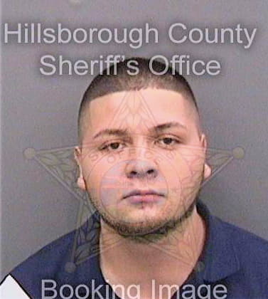 Dominguez Homero - Hillsborough County, FL 