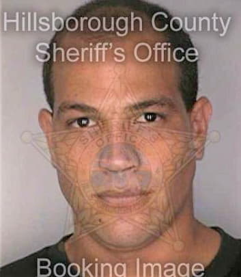 Maldonadocastro Luis - Hillsborough County, FL 