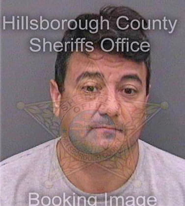 Masson Michael - Hillsborough County, FL 