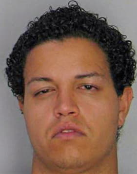 Cardona Mark - Hillsborough County, FL 