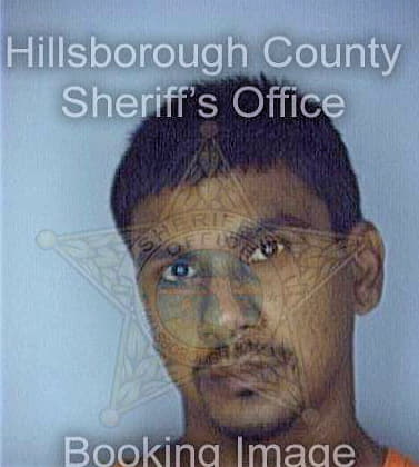 Patram Rayman - Hillsborough County, FL 